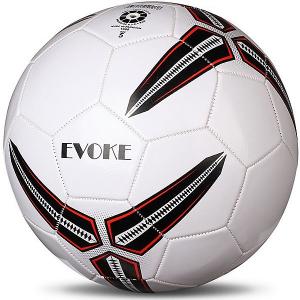 Мяч футбольный  Evoke №5 INDIGO. Цвет: разноцветный