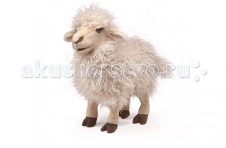 Мягкая игрушка  Белая овца 41 см Folkmanis
