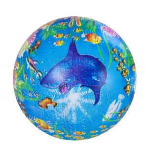Мяч  Подводный мир 22 см Наша Игрушка