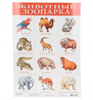 Плакат  Животные зоопарка Дрофа