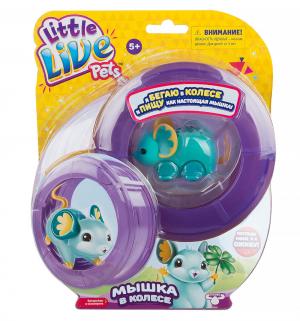 Игрушка  Little Live Pets Мышка в колесе голубая Moose
