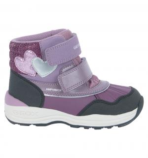 Ботинки  New gulp girl, цвет: фиолетовый Geox
