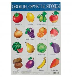 Плакат  Овощи, фрукты Дрофа