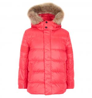 Куртка , цвет: красный Poivre Blanc