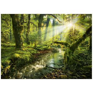 Пазл Heye Nature Заброшенный парк, 1000 деталей